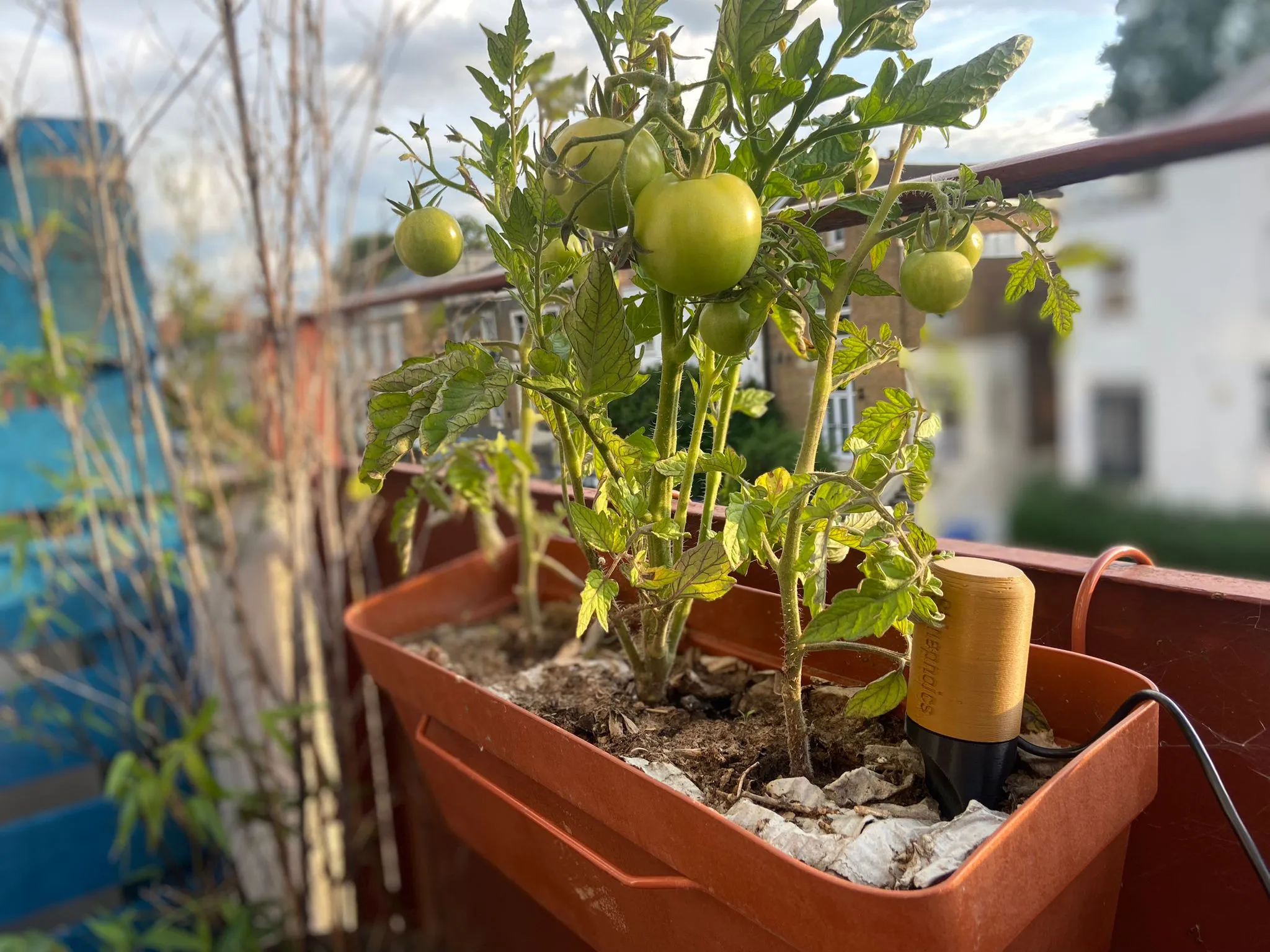 Balcony Farm